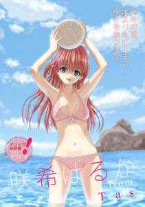 Saki Haruka